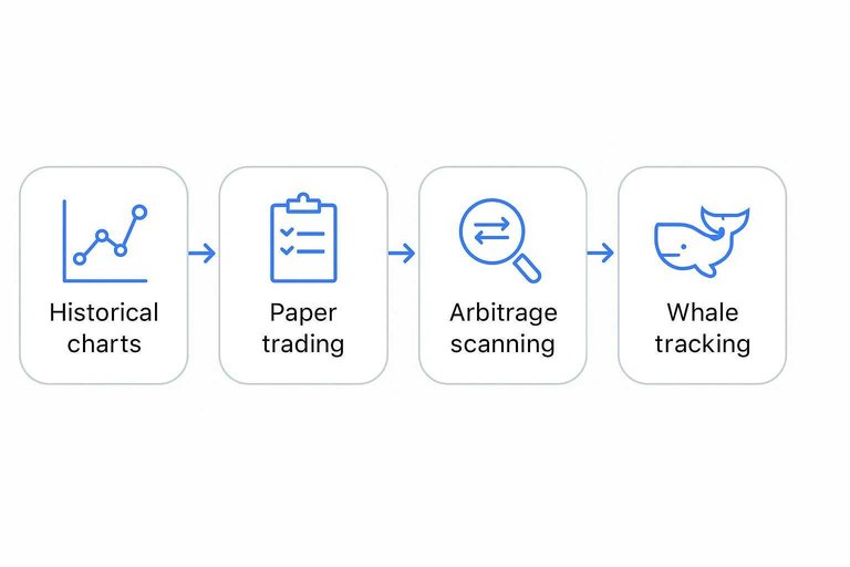 Four-step workflow: Historical charts, Paper trading, Arbitrage scanning, Whale tracking connected by arrows